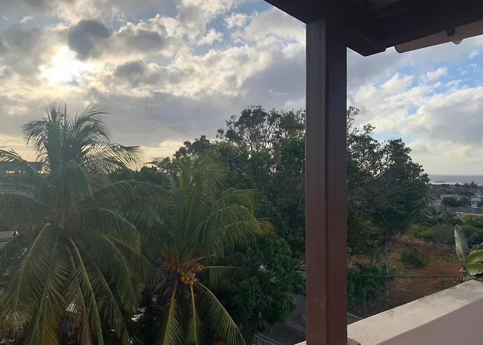 Luxurious House At Coromandel